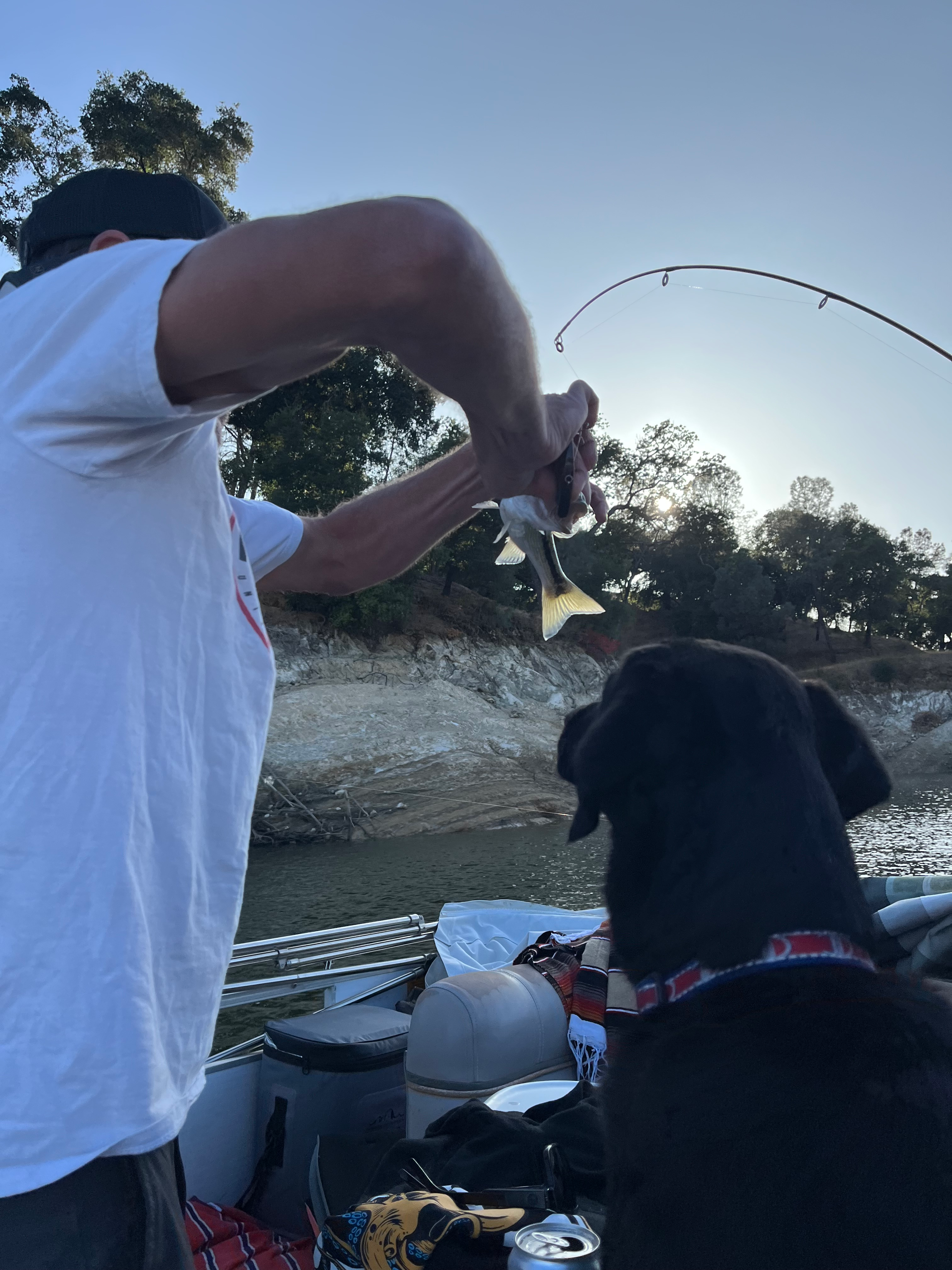 fishing on the pontoon